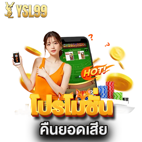 โปรโมชั่นคืนยอดเสีย
